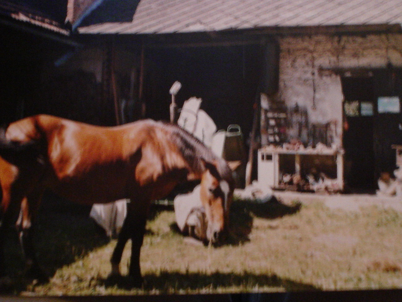 DSC03884.JPG